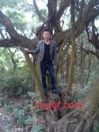 非凡兔子的第8张照片