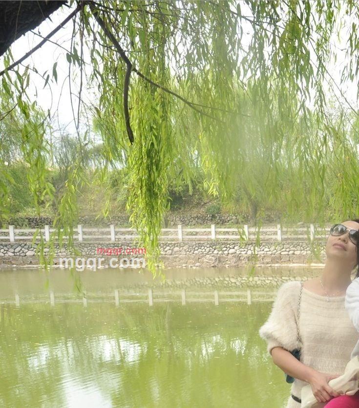 冰碎的第1张照片