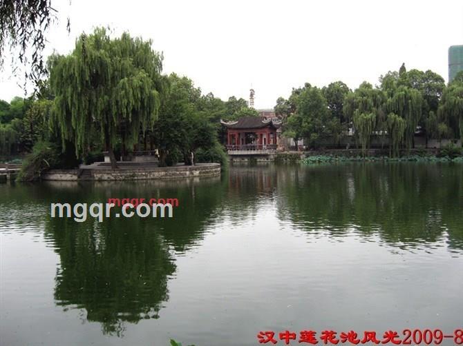 爱如云烟的第1张照片