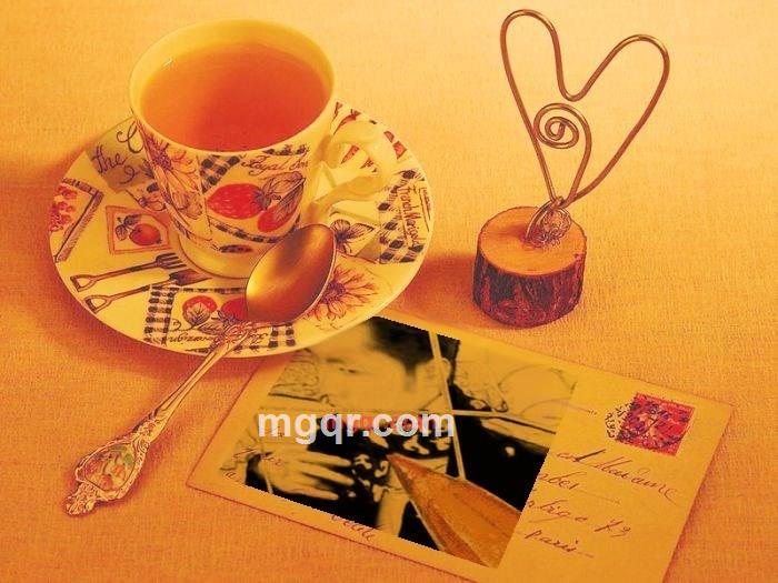 Gun11的第10张照片