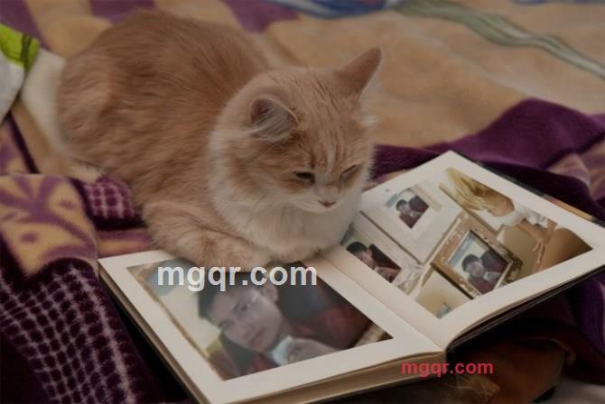 Gun11的第5张照片