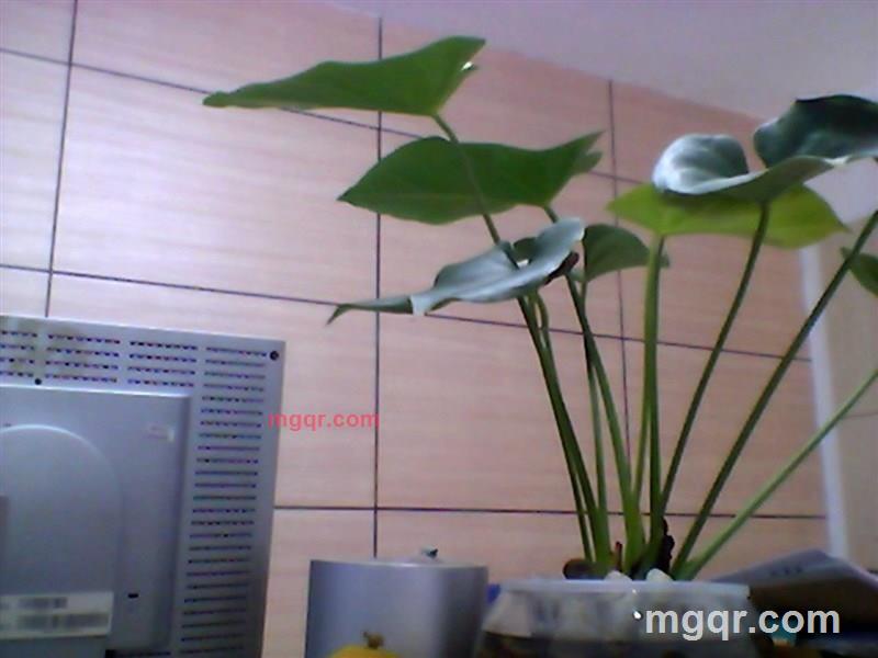 不精的第2张照片