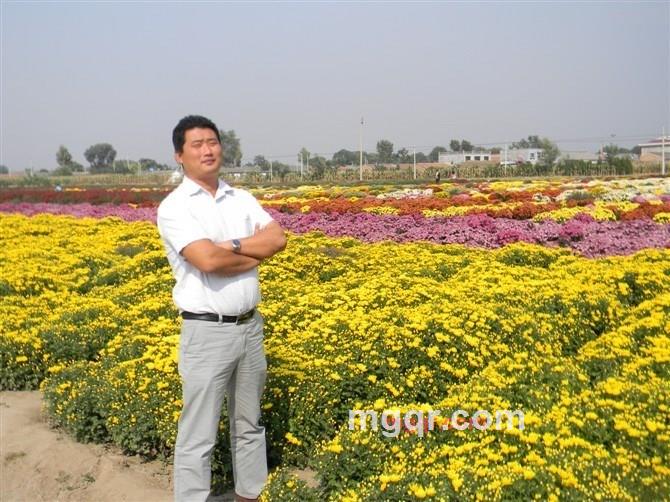 孤VS莫的第1张照片