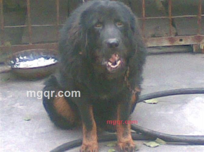 蘫竹幽若雨 的第1张照片