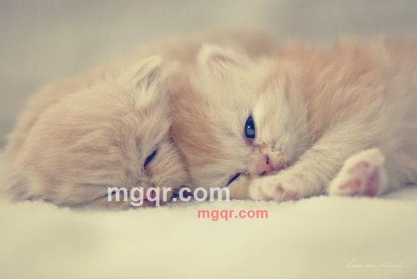 haoren7-1的第39张照片