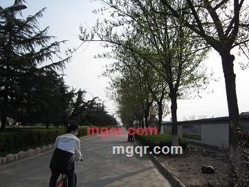 爱你在我心的第2张照片