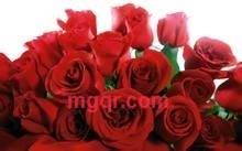 haoren7的第20张照片