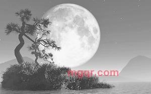 haoren7的第14张照片