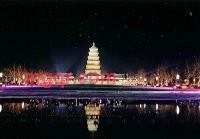 忘我的寂寞的第2张照片