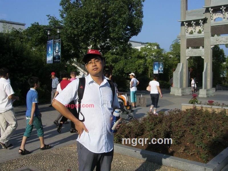 西方的牛的第1张照片