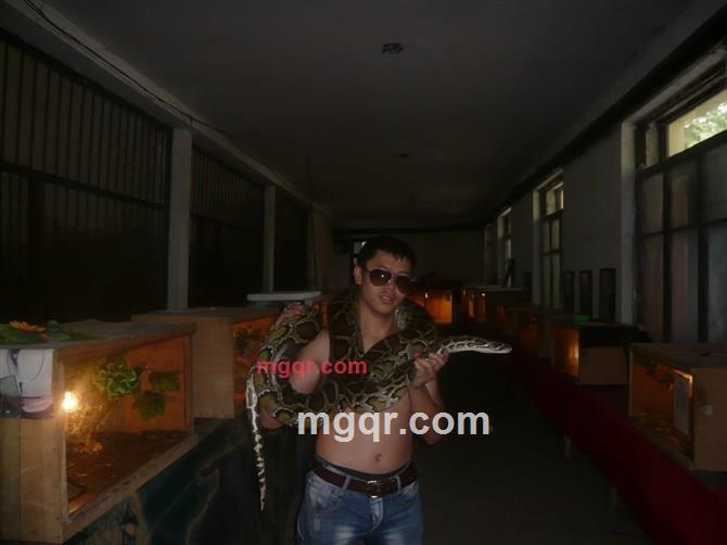 风情十三的第1张照片