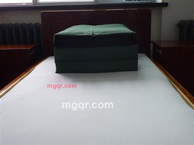 白色的、雪的第1张照片