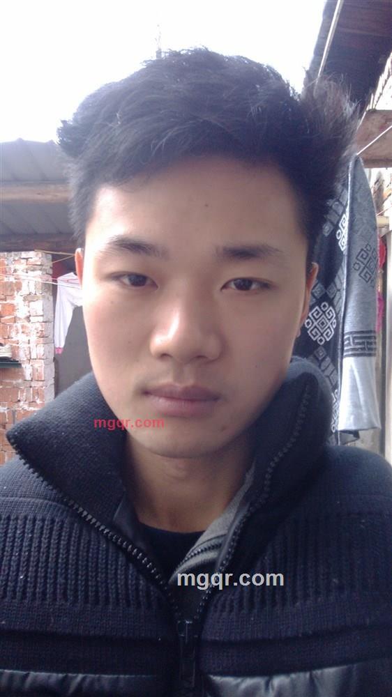 海豚不哭泣的第1张照片