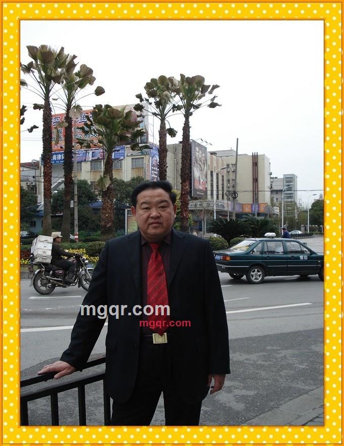 八达岭红枫叶的第4张照片