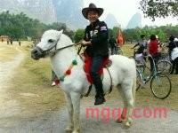 爱神秃鹫的第1张照片