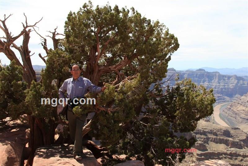清风yl的第4张照片