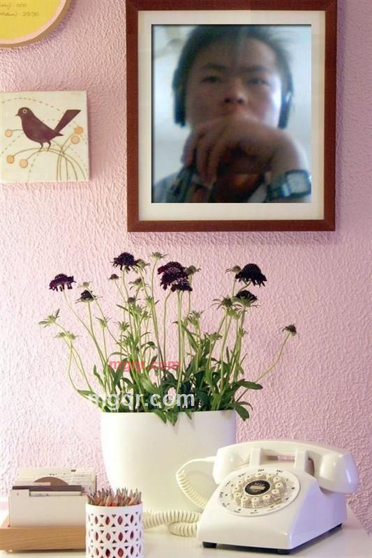 眼角①咝涙的第4张照片