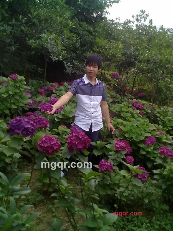 納蘭悟然的第1张照片