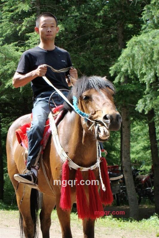 何爷的第1张照片