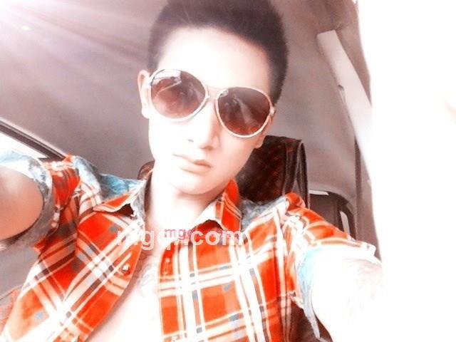 .孤独的风中一匹狼的第1张照片