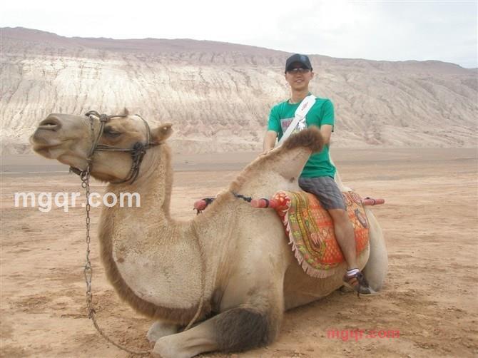 海2013的第1张照片