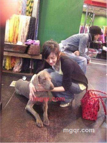 只如 初见的第1张照片