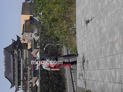 520520ok的第4张照片