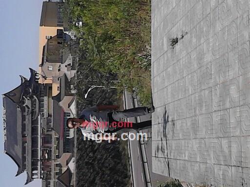 520520ok的第3张照片