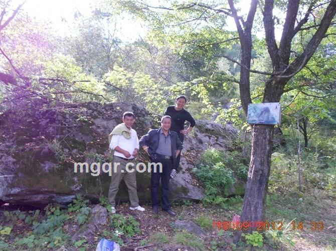 春天的港湾的第1张照片