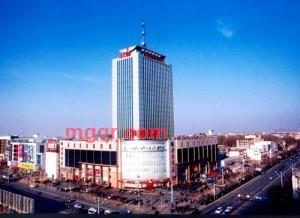 残狼的第1张照片