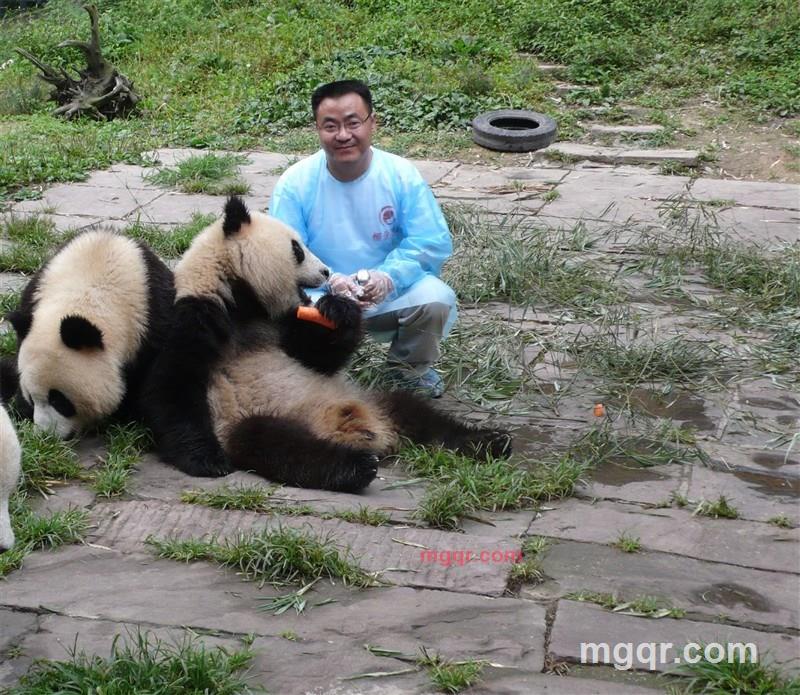 男人是龙的第3张照片