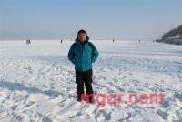 树大叶肥的第2张照片