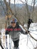 树大叶肥的第1张照片