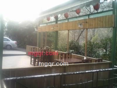 冰与火的浪漫的第4张照片