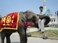 真诚永永远的第1张照片