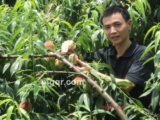 迷惑#的第2张照片