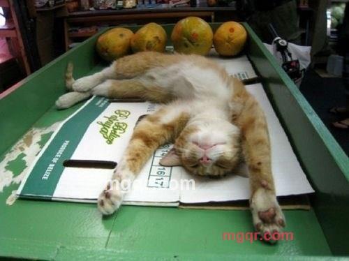 哇女的第3张照片