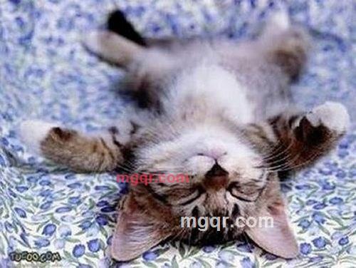 哇女的第2张照片