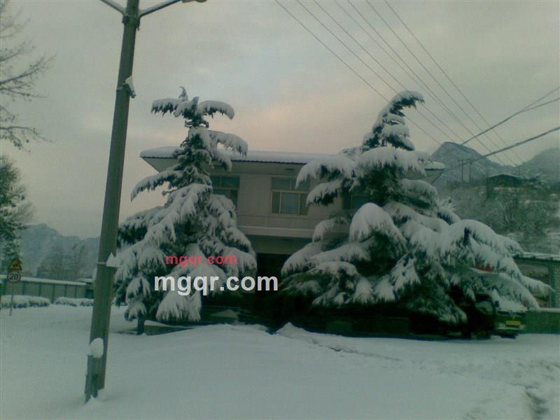 希望你幸福的第2张照片