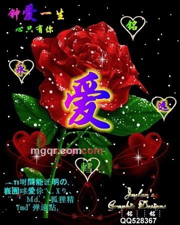 为您服*。的第1张照片