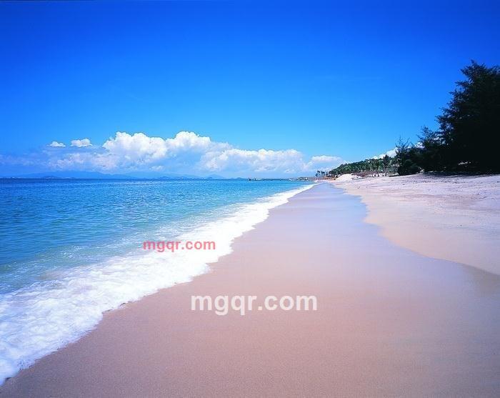 会员1355940的第3张照片