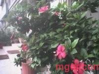 luzijun123的第18张照片