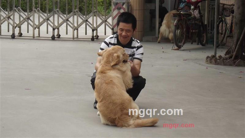 pjplayer的第1张照片