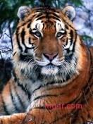 广州坏男人的第6张照片