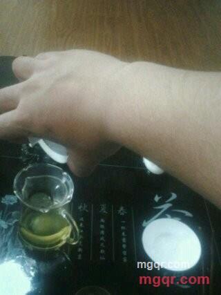 天蝎、终结者的第4张照片