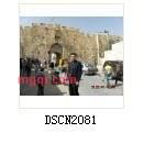 manmandada的第1张照片