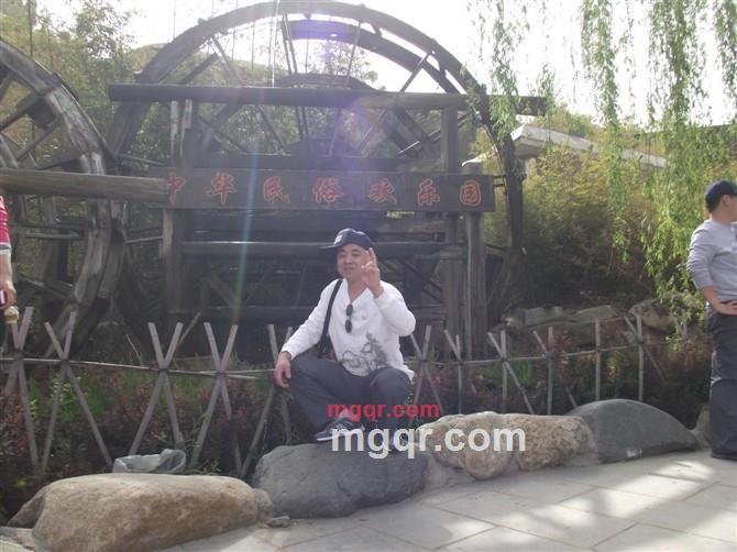 大@树的第4张照片