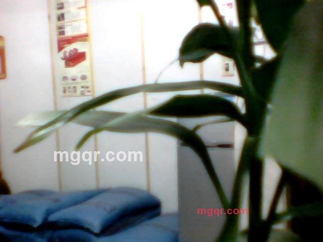 找个情侣回家的第6张照片