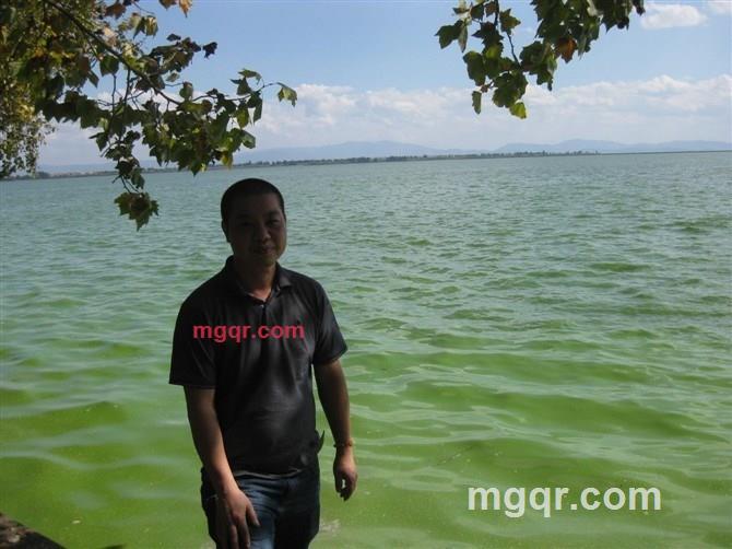 海鸥船的第1张照片