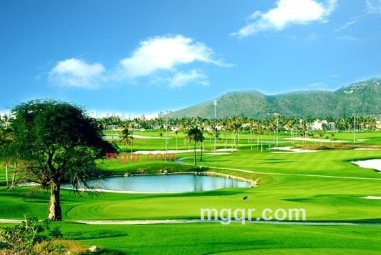 随遇而安的第5张照片